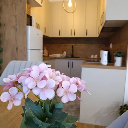 Appartamento Anateo Istocno Sarajevo Vranjes