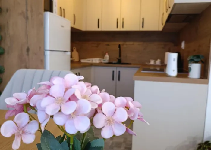 Apartman Anateo Istocno Sarajevo Vranjes